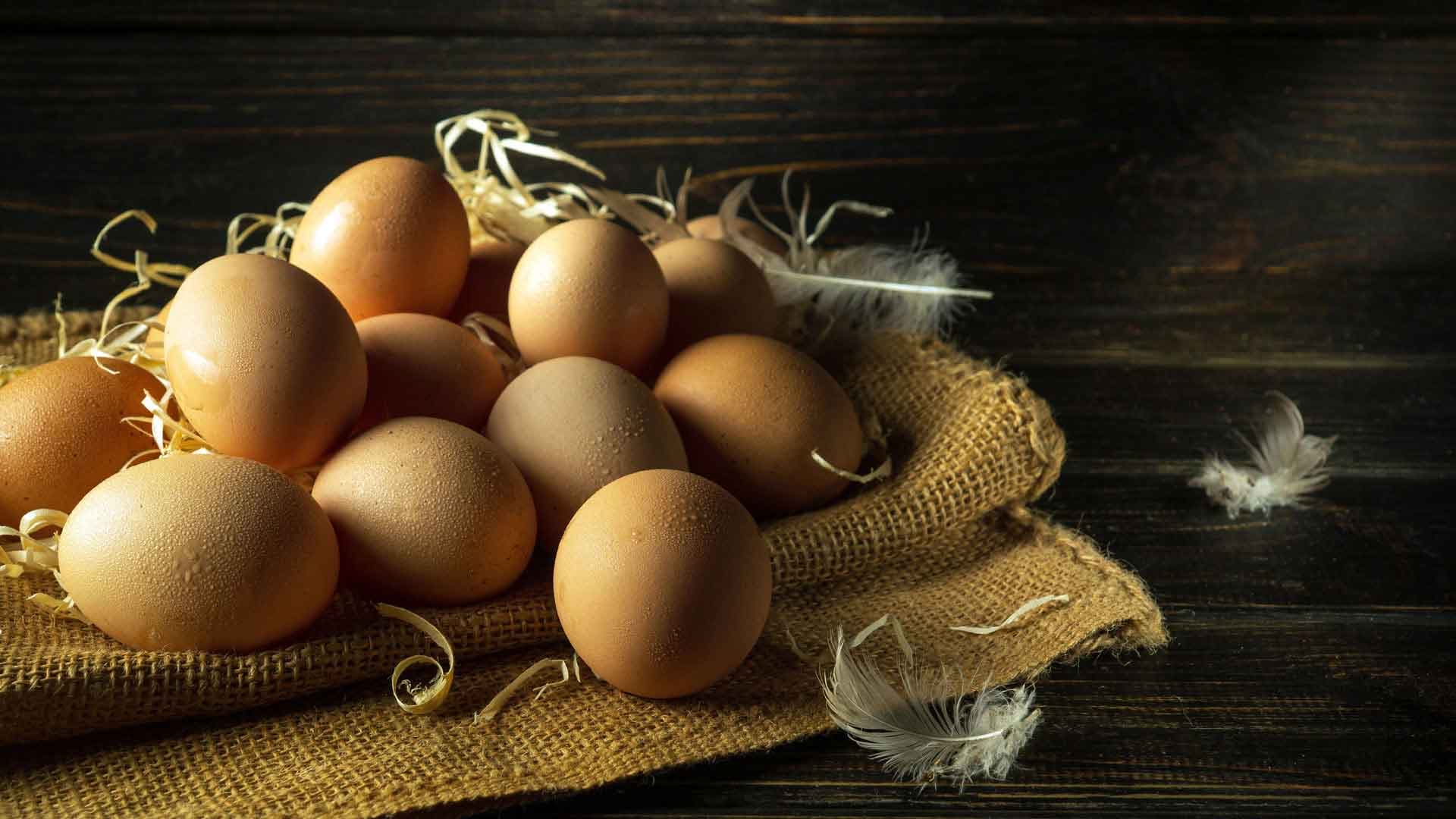 Fresh eggs on rustic background